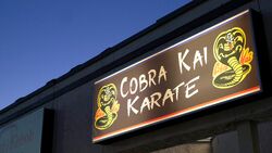 Dojo Cobra Kai, The Karate Kid Wiki