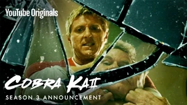 Cobra Kai S3 Announcement.jpg