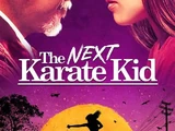 The Next Karate Kid