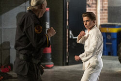 Robby Keene, The Karate Kid Wiki, Fandom