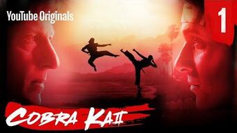 Video Cobra Kai Season 2 Episode 1 The Karate Kid Wiki Fandom