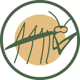 Locust Valley Karate Club Karate Kid Logo