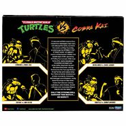 CK 2021 TMNT CK Merch