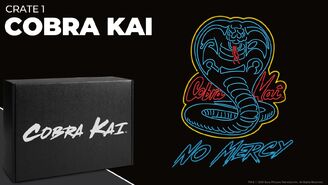 CK Loot Crate-CobraKai1