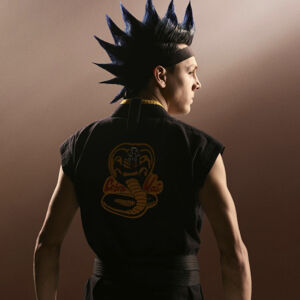 Hawk The Karate Kid Wiki Fandom Check out our cobra kai t shirts selection for the very best in unique or custom, handmade pieces from our одежда shops. hawk the karate kid wiki fandom