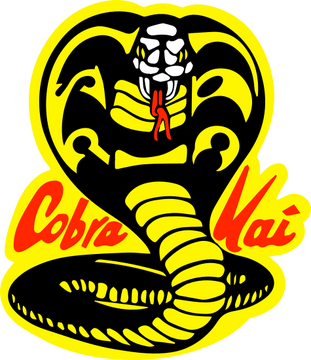 Cobra Kai Dojo, The Karate Kid Wiki