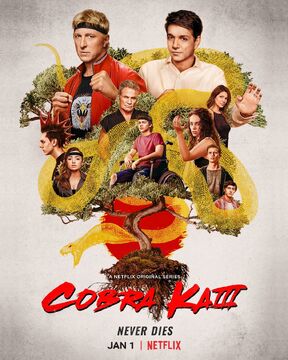  Cobra Kai - Season 01 / Cobra Kai - Season 02 - Set : Macchio,  Ralph, Zabka, William, Henggeler, Courtney, Mariduena, Xolo, Buchanan,  Tanner, Mouser, Mary, Bertrand, Jacob, Brown, Nichole, Decenzo