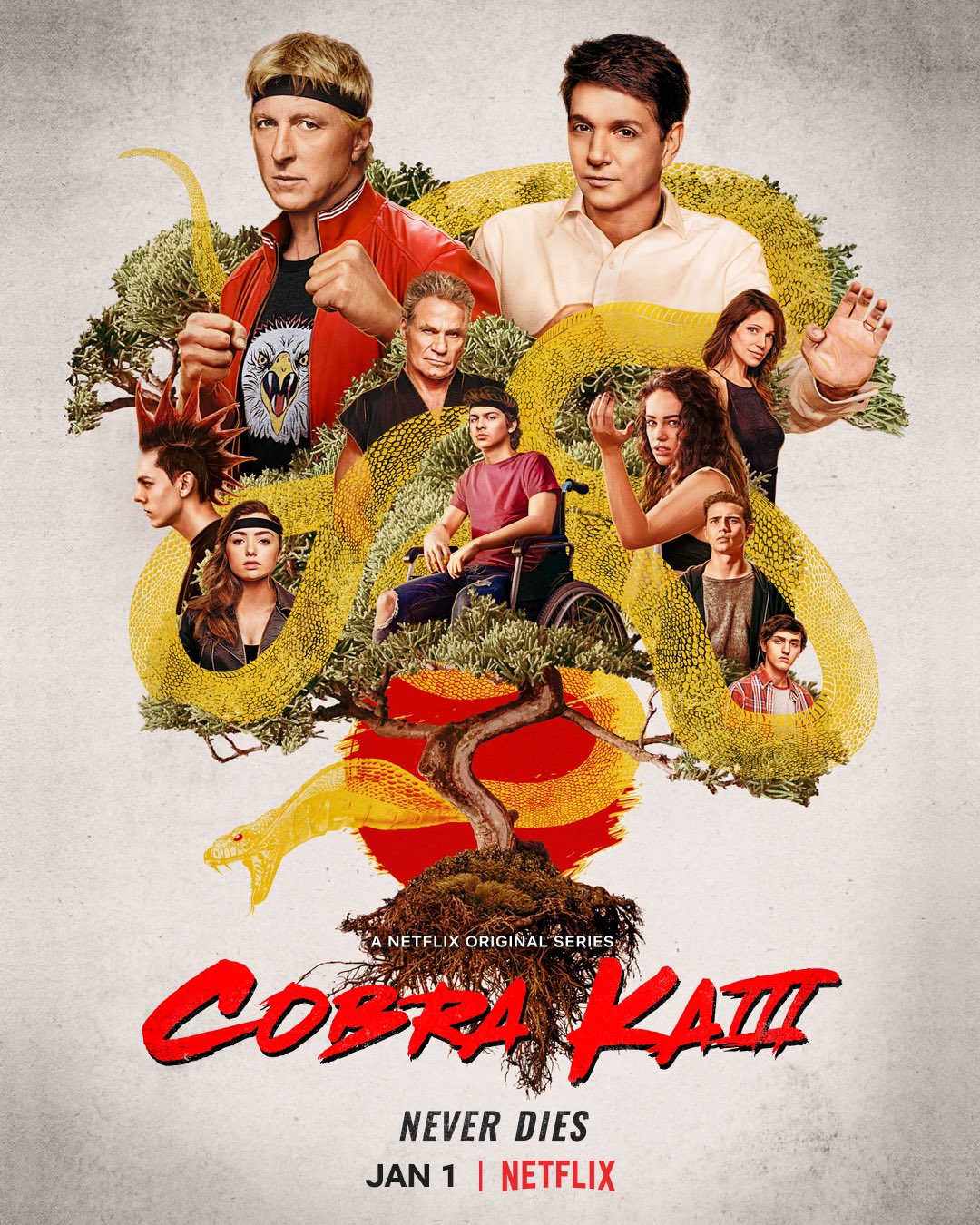 Cobra Kai Cast  Karate kid cobra kai, Cobra kai dojo, Kid cobra