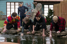403 Koi Fish Promo