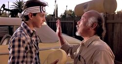 Wax On, Wax Off  The Karate Kid Wiki  Fandom