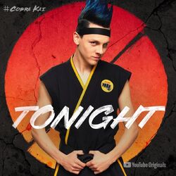 Hawk The Karate Kid Wiki Fandom Hawk The Karate Kid Wiki Fandom