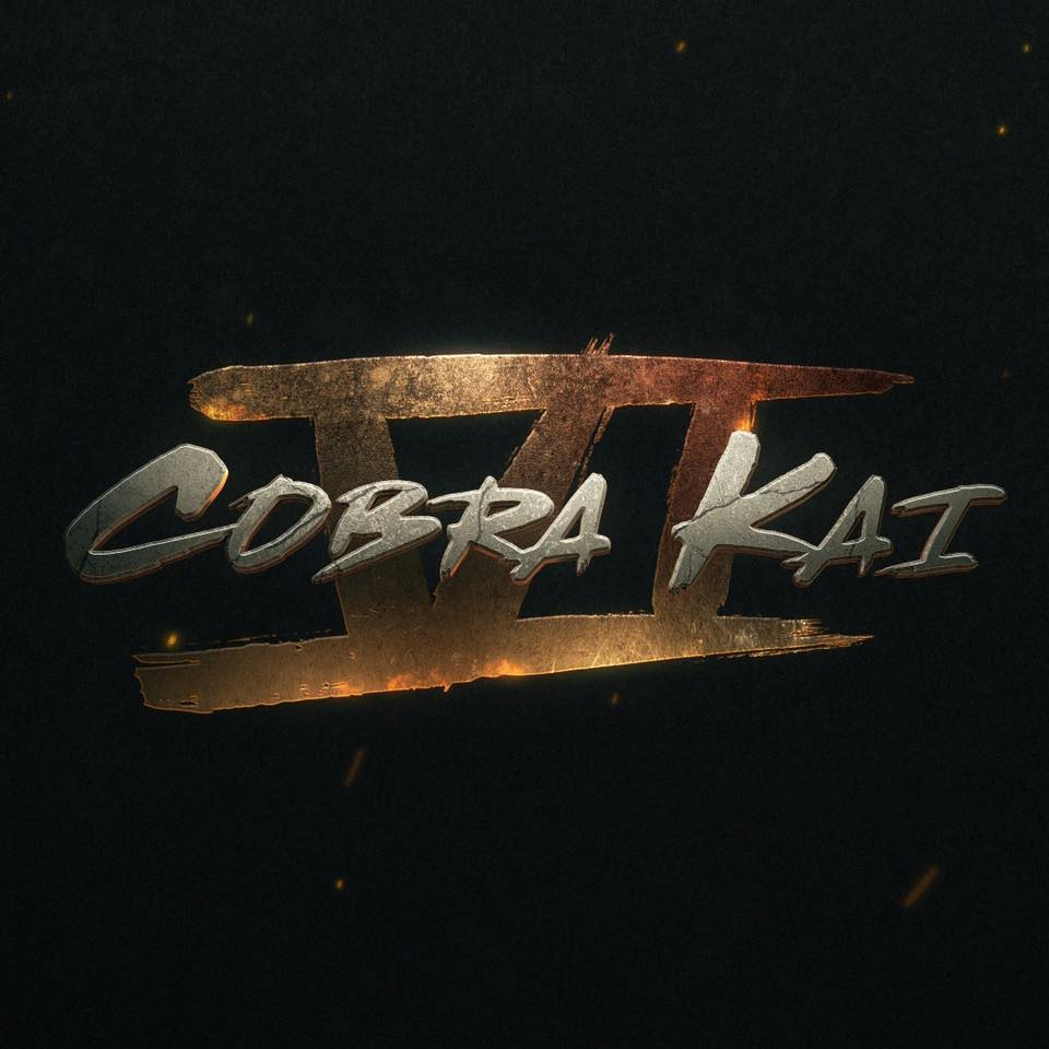 Cobra Kai, The Karate Kid Wiki