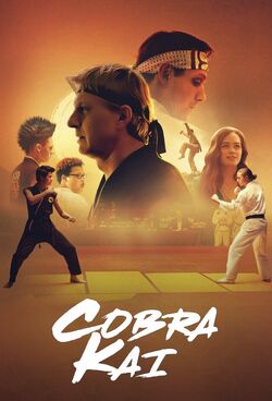 Cobra Kai (TV Series 2018–2023) - IMDb