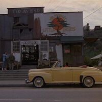Mr. Miyagi's Little Trees | The Karate Kid Wiki | Fandom