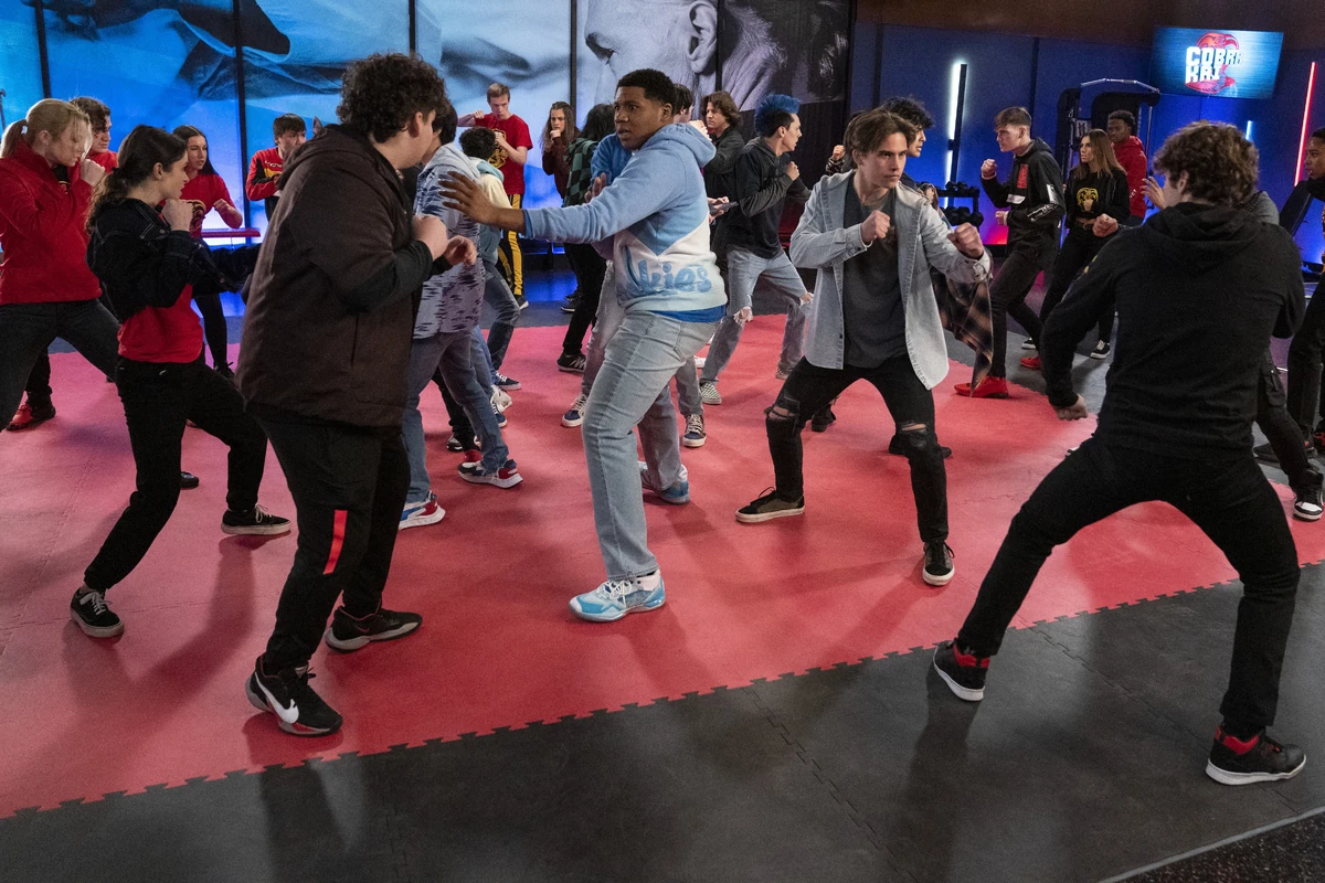 Cobra Kai Dojo Fight II | The Karate Kid Wiki | Fandom