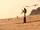 Crane Kick