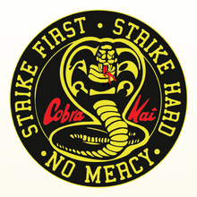 Cobra Kai Dojo The Karate Kid Wiki Fandom
