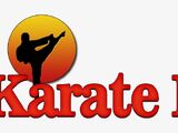 The Karate Kid series