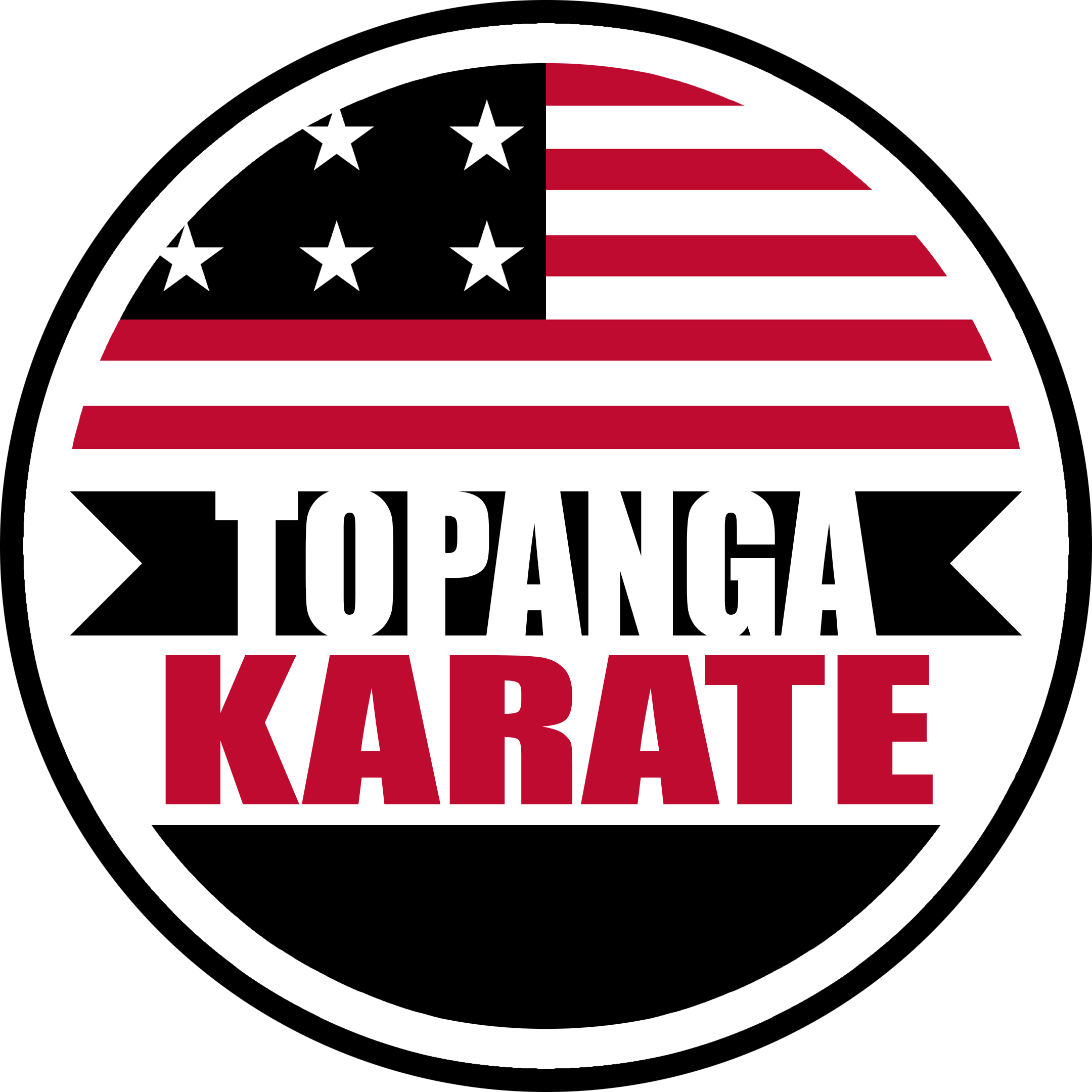 Robby Keene, The Karate Kid Wiki, Fandom