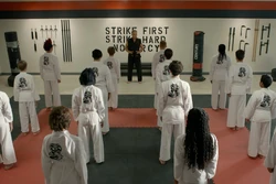 Dojo Cobra Kai, The Karate Kid Wiki