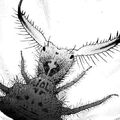 File 41 - Antlion Trench Murder Case Antlion (??)