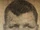 George Dickson