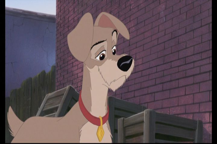 what types of dogs are in lady and the tramp