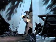 Walt Disney Films Lady and the Tramp 1955 