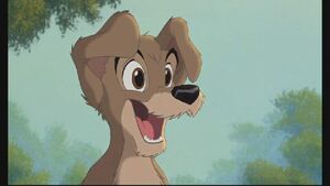 Scamp | The lady and the tramp Wiki | Fandom