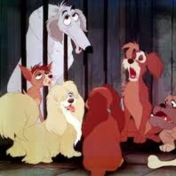 Pound Dogs The Lady And The Tramp Wiki Fandom The prizes are as follows: pound dogs the lady and the tramp