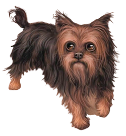 Gizmo | The Last Dogs Wiki | Fandom