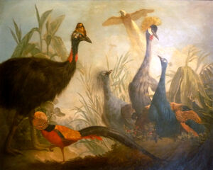 Thirty birds.jpg