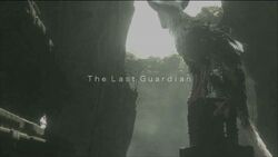 The Last Guardian's Battle, Reborn Wiki, Fandom