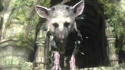 Wake Up Trico - The Last Guardian Wiki