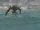 The Battle of Kashyyyk