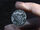 Rhode Island coin