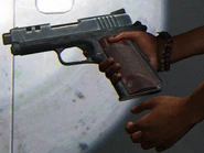 Riley's pistol model.