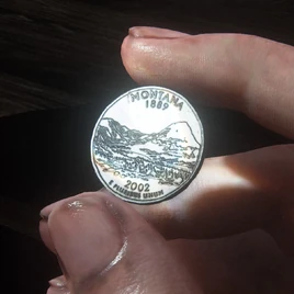 Montana quarter