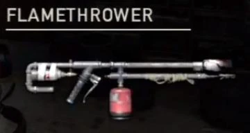 Gun