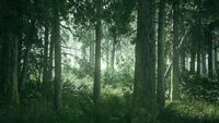 TLOU2 - Reveal trailer opening shot