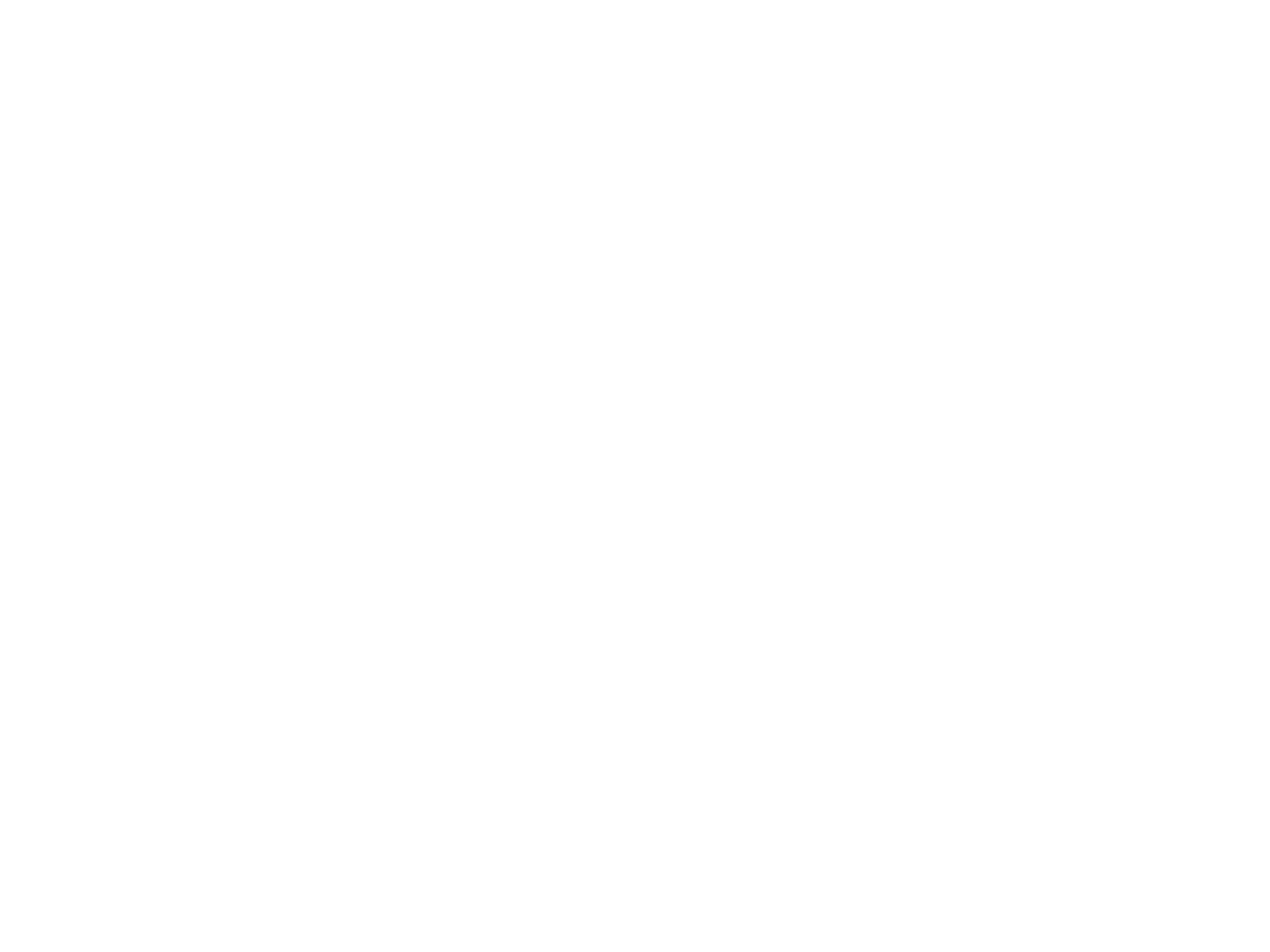 Minimal lines modern firefly logo design Vector Image