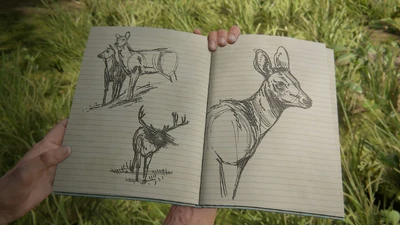 TLOU2-journal-anniversaire1