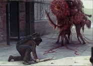 Bola de infectados.png (265 kB)