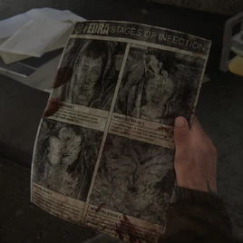 Infected flyer Seattle QZ