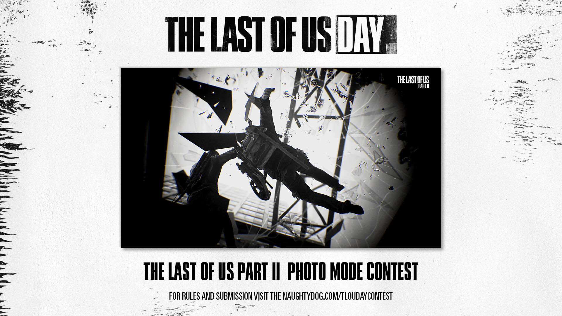 The Last of Us Remastered Photo Mode Contest Winners