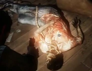 Frank's corpse bring observed by Joel