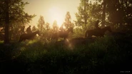 Joel, Ellie, and Tommy riding horses.
