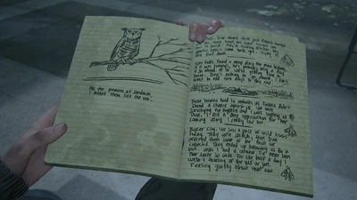 TLOU2-journal-4-hibou