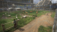 Livestock paddocks inside SoundView Stadium.