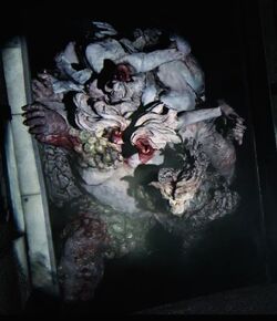 The Infected The Last Of Us Wiki Fandom